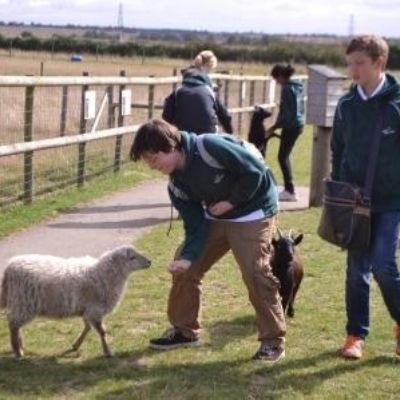 At the Petting Zoo